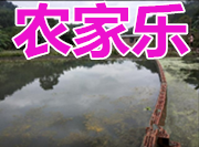 那洪大道5亩(约3300平)农家乐、带2亩空场地、带3个鱼池
