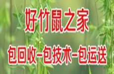 南宁市马山某养殖户供应竹鼠种苗、可包技术、包回收