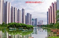 (已成交)来宾市政府旁70年产权土地低价出售