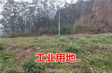 （已成交）广西横县平朗镇1500平米工业用地，可租可转