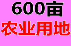 （已成交）武鸣区锣圩镇南宁市旱作场600亩农业用地招租