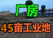 吴圩机场附近45亩工业用地、厂房6000平招租,项目合作转让