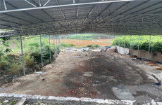 武鸣区甘圩镇1600-6000平厂房仓库招租,及30亩空场地招租