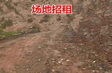 (已成交)高新区西津路西津村委旁10989平三产用地招租