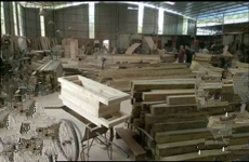 仅10元,月湖二街玉洞木材城500-900平厂房仓库,300平空场地