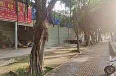 (已成交)西乡塘区高新大道40平多间一楼铺面、厂房仓库招