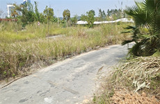 (已成交)西乡塘区罗文大道2亩约1332平水泥硬化空场地招租