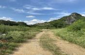 金陵镇18亩工业地、伊岭工业区1.2万平厂房、东盟工业区场地