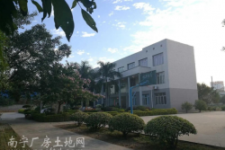 武鸣新庆路16000平(约24亩)厂房仓库生产车间招租