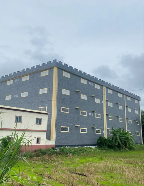 石埠兴贤村800一3200平厂房仓库、生产车间、办公室